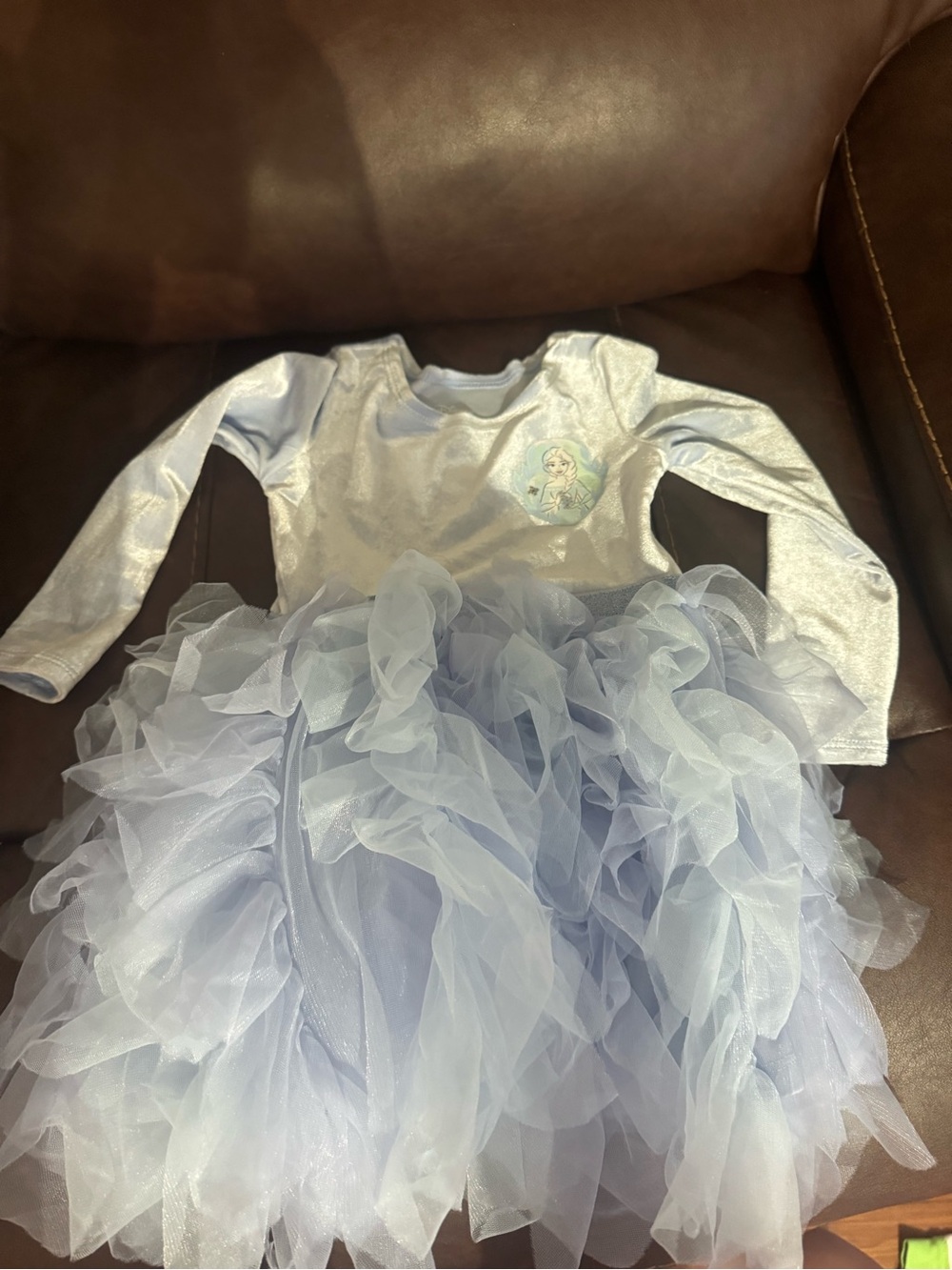 Disney Light Blue Ruffle Tulle Princess Dress